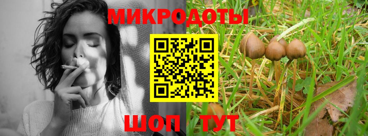 Псилоцибиновые грибы Psilocybe  Вход с VPN  Галлюциногенные грибы мицелий  Новороссийск 