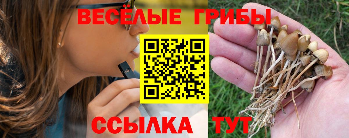 Галлюциногенные грибы GOLDEN TEACHER Новороссийск